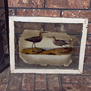 J.J. Audubon Long- Legged Sandpiper picture in glass frame